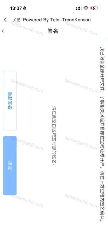 宝时签名页,提供重新签名及提交按钮